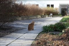 IMG_2283.jpg