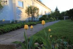 IMG_3119.jpg