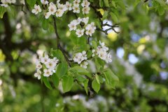 IMG_3248.jpg