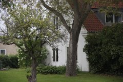 IMG_3958.jpg