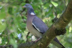 IMG_3986.jpg